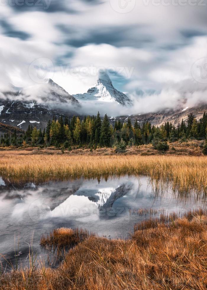 monte assiniboine com sopro nublado no prado dourado no parque provincial foto