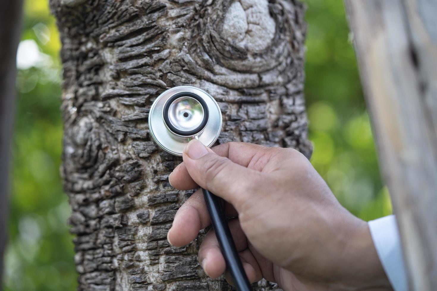 verificando a natureza da árvore de escuta de saúde com estetoscópio, biologia, ecologia, meio ambiente, aquecimento global, salvar a terra foto