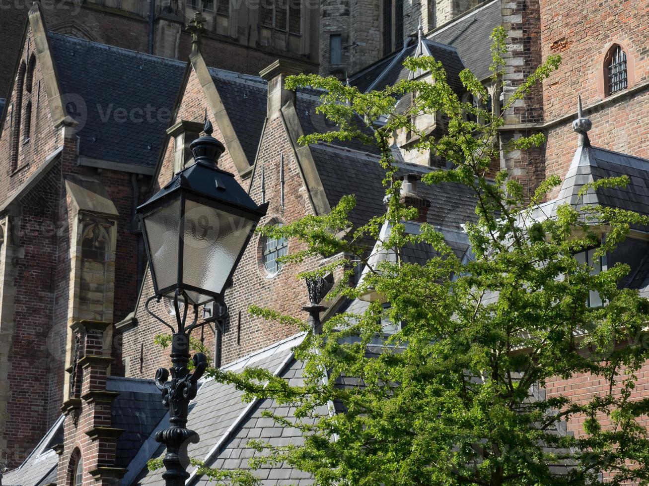 haarlem na holanda foto