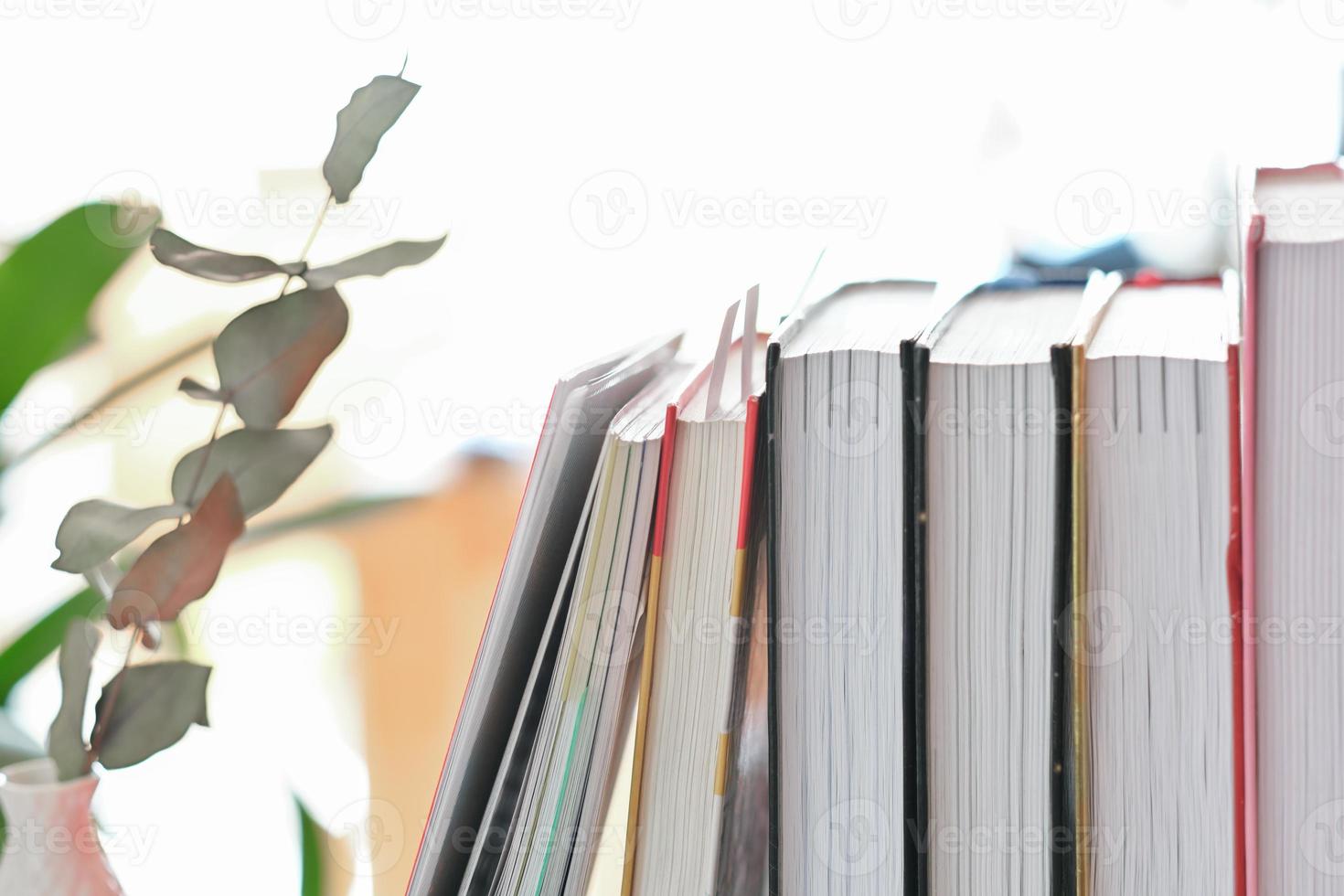 close-up vista de livros seguidos e plantas verdes. biblioteca em casa, livros de papel foto