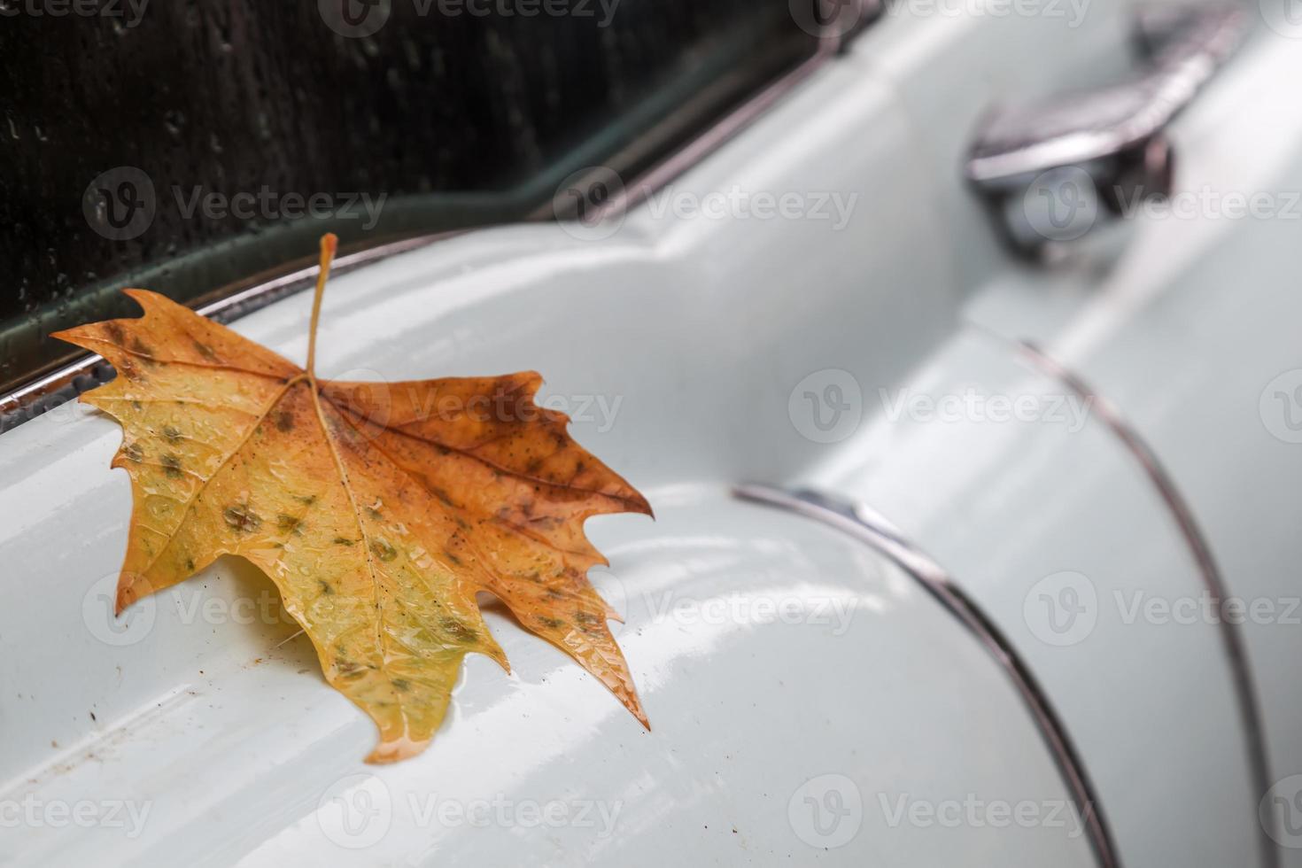 folha de bordo em um carro clássico molhado foto