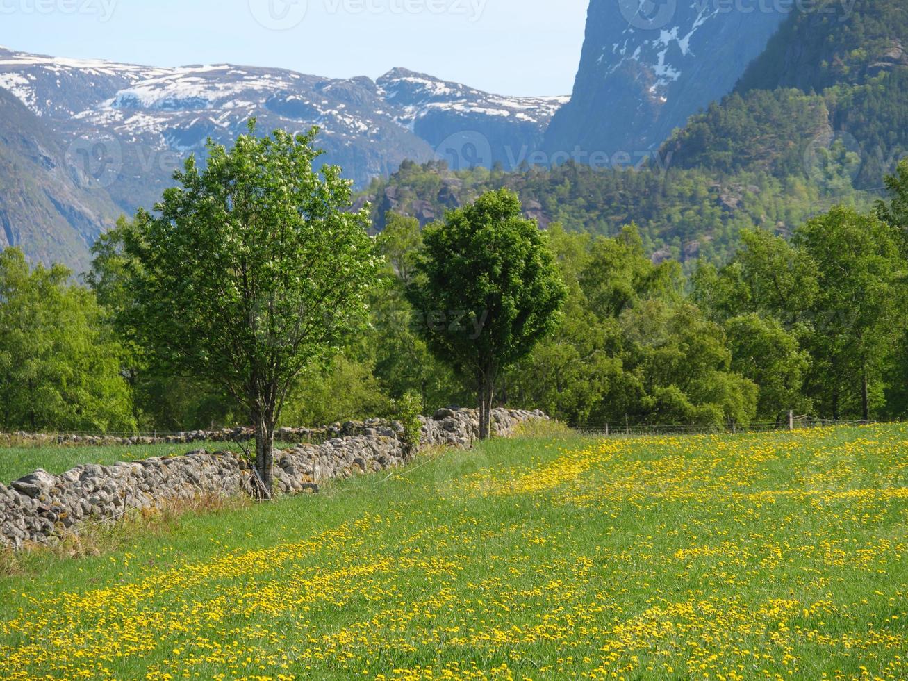 a pequena aldeia eidfjord no hardangerfjord norueguês foto