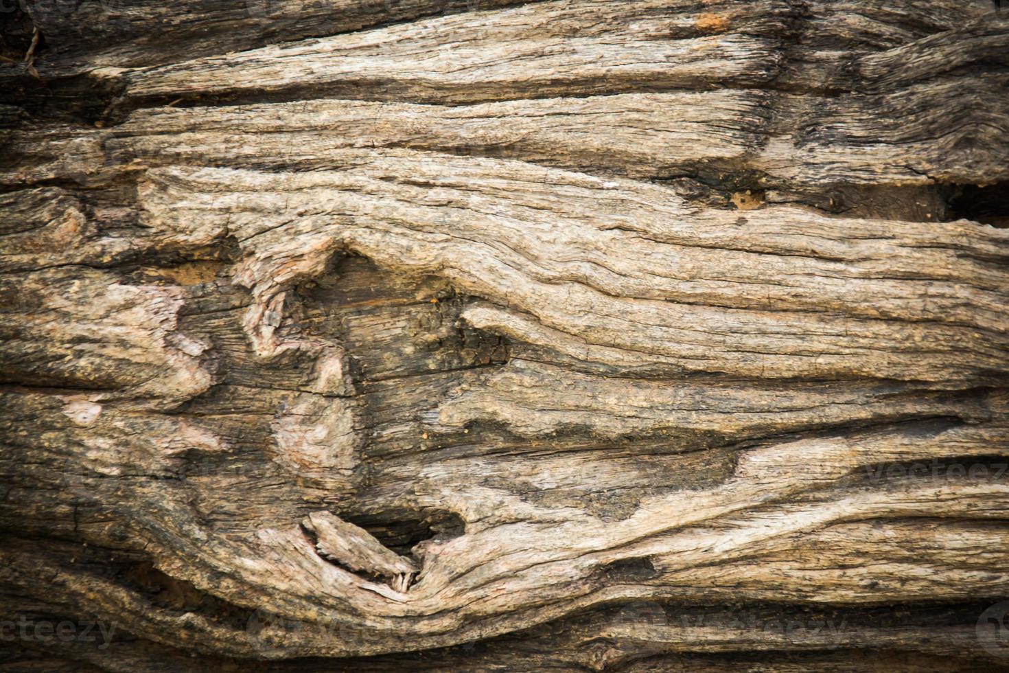pano de fundo de parede de madeira para fundo foto