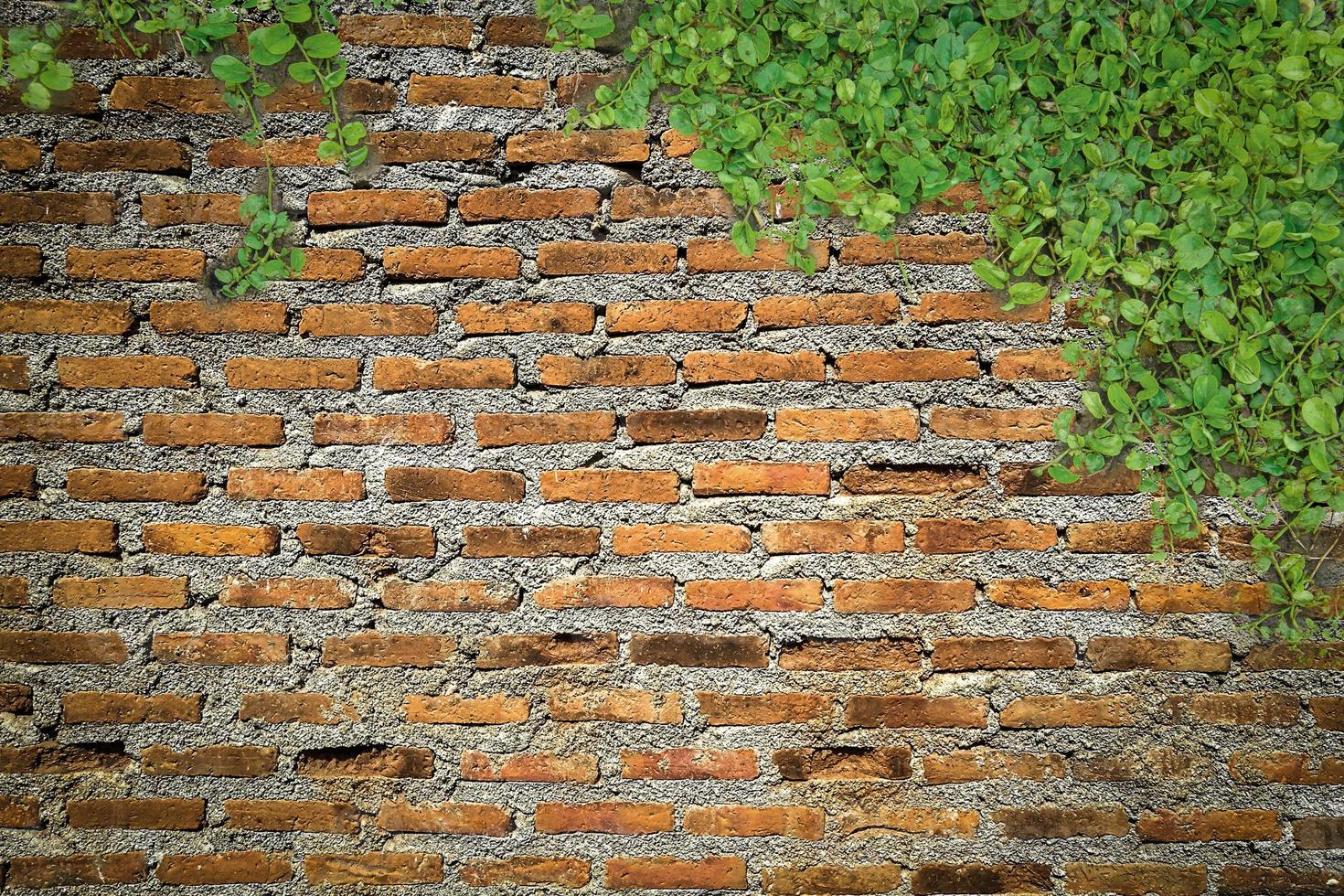 cenário de parede de tijolos para fundo foto