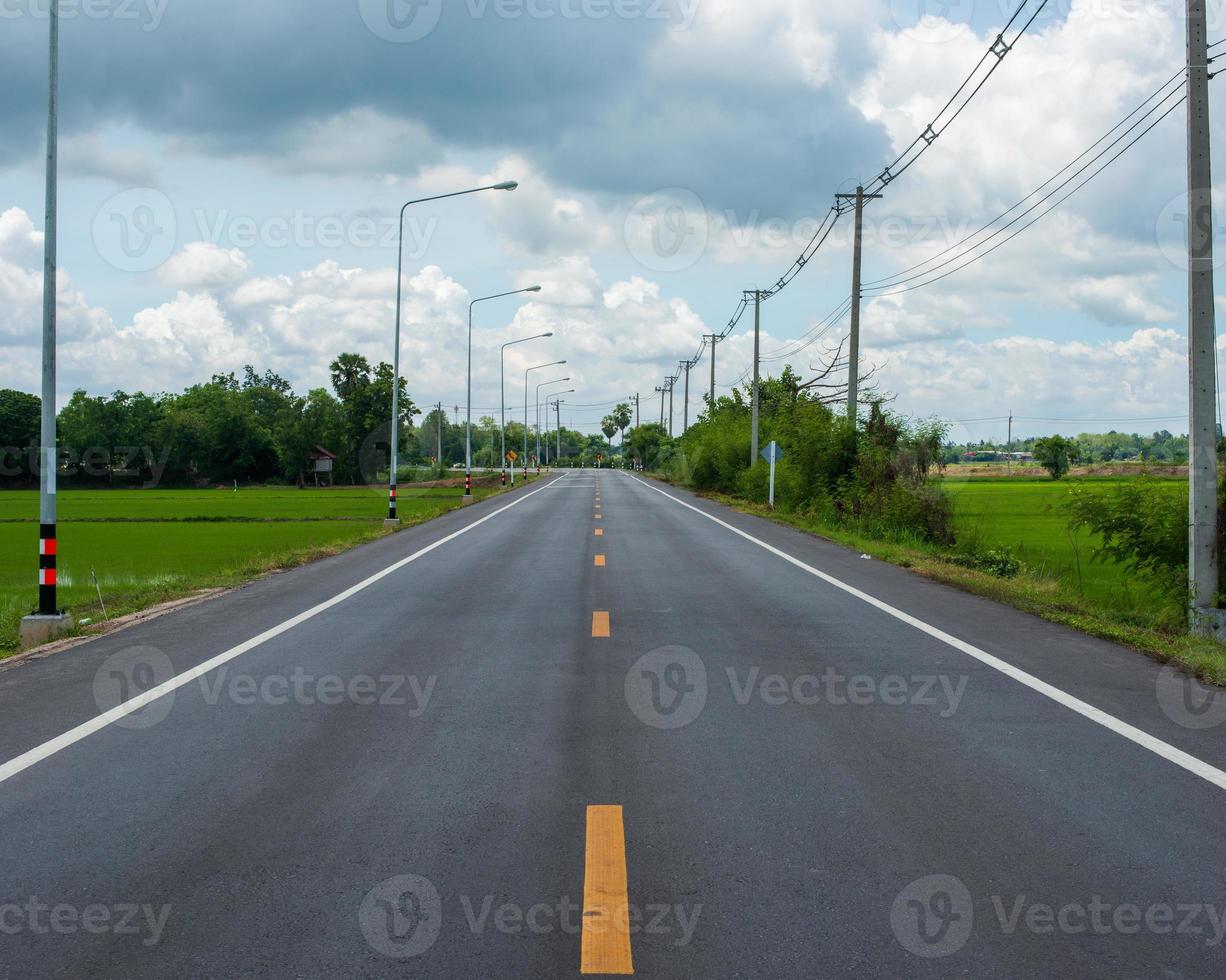 estrada com postes elétricos. foto