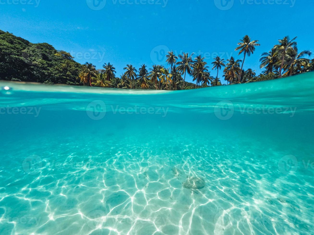 palmeira da ilha tropical e debaixo d'água foto