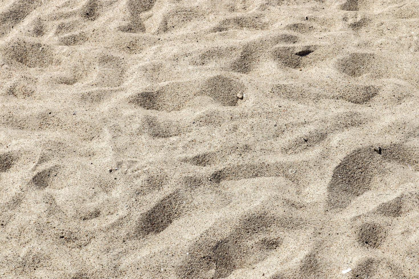 vista detalhada de perto na areia em uma praia no mar Báltico foto