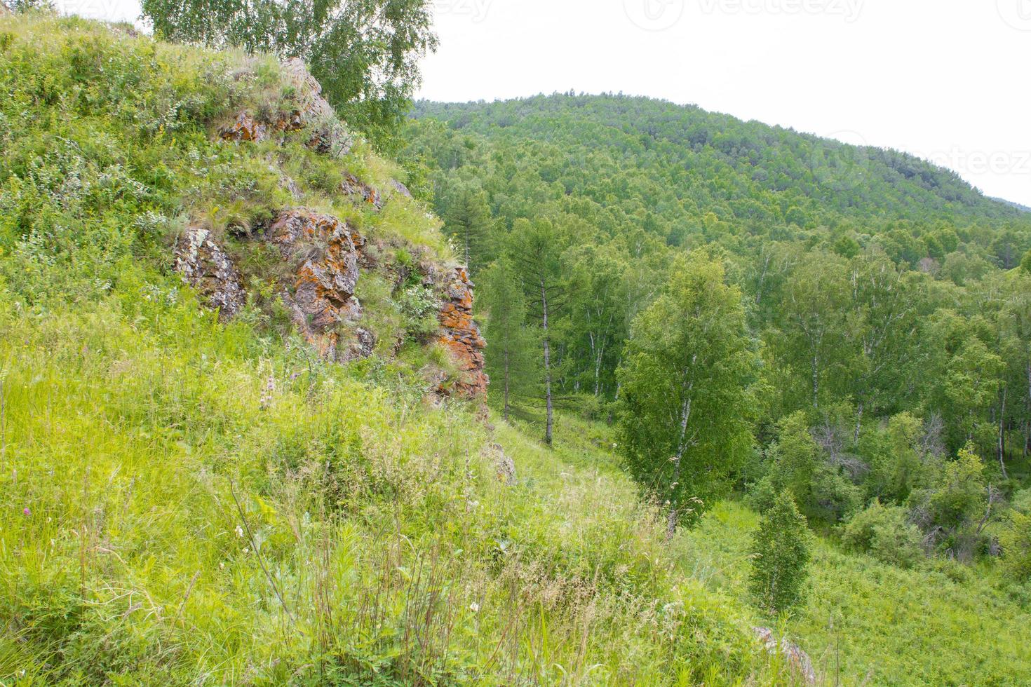 floresta e pedras nas montanhas no verão. foto