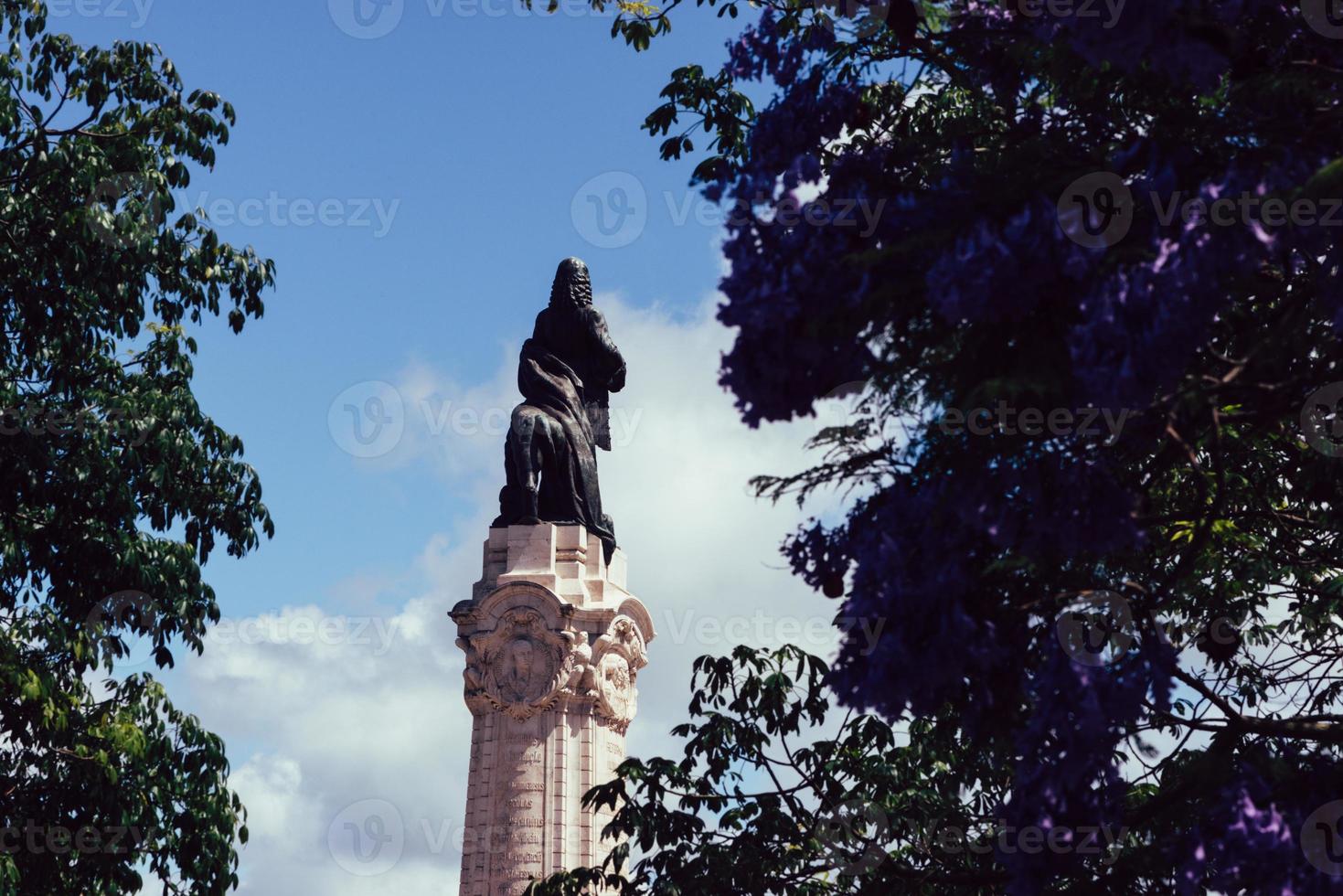 jacarandá em primeiro plano com marquês do pombal estátua com leão e praça em lisboa, portugal foto