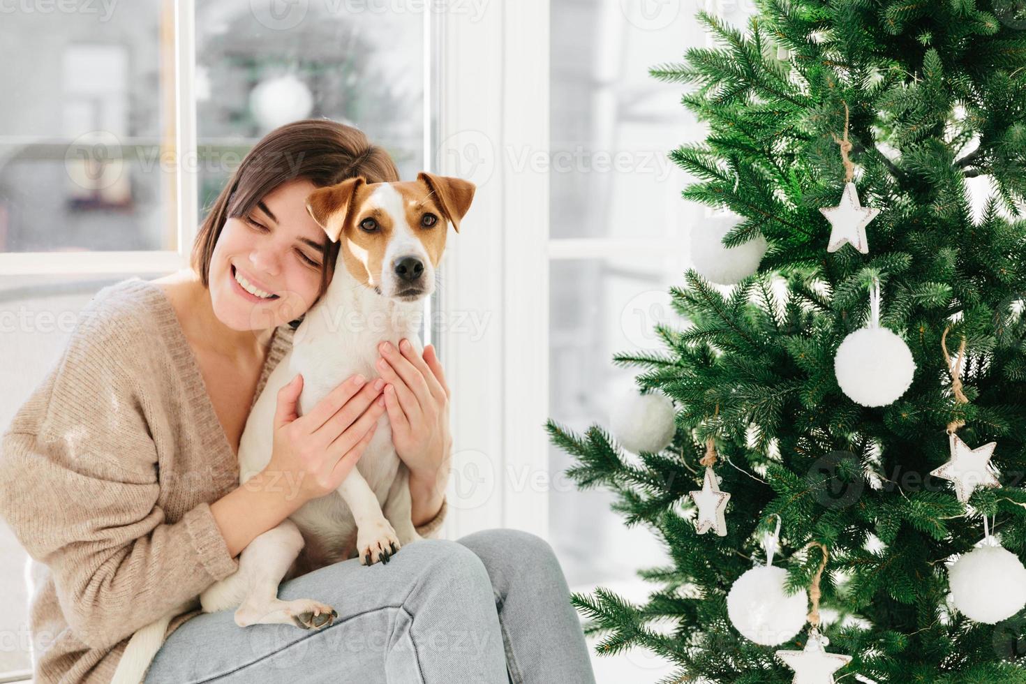 pessoas, animais, relacionamento e conceito de férias. adorável mulher morena abraça o animal de estimação com amor, vestida de suéter marrom e jeans, posar perto da árvore de natal decorada, tem clima festivo foto