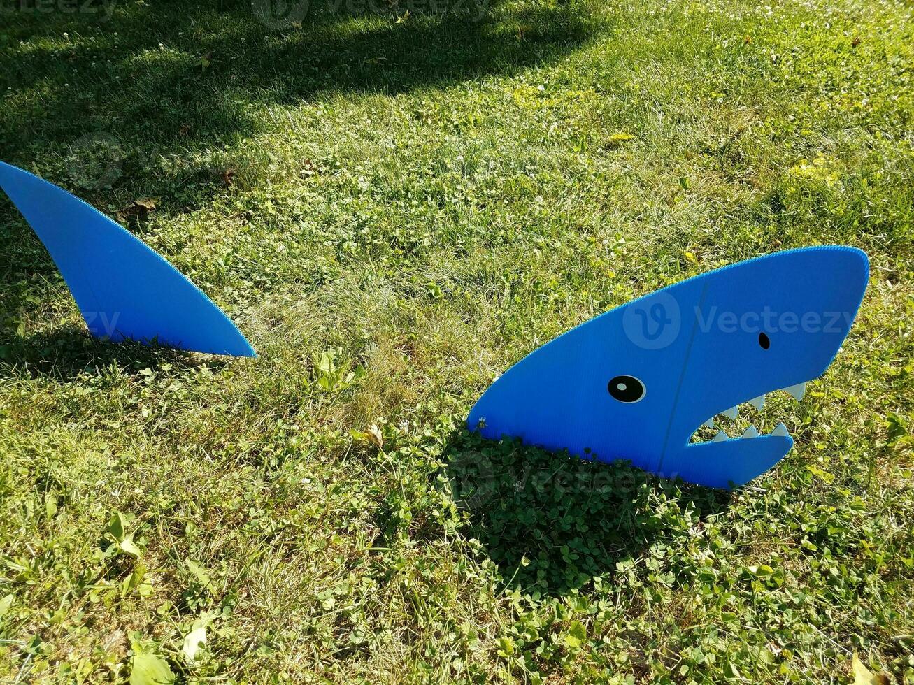 tubarão azul na grama verde foto