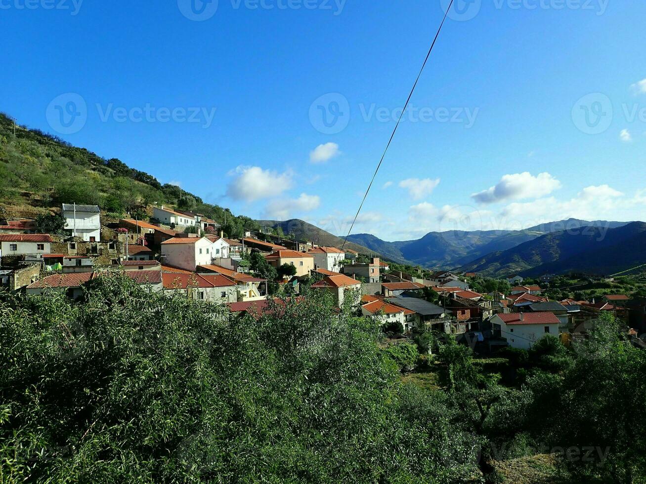 colinas com plantas e gramíneas e árvores foto