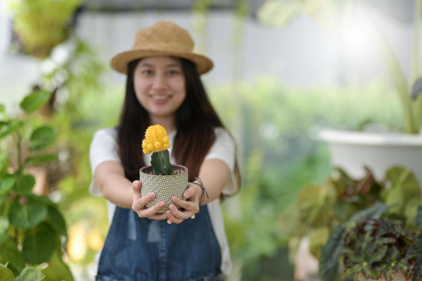 jovem cuidando de árvores, plantando e cuidando de equipamentos, plantas em estufas, pequenas empresas. foto