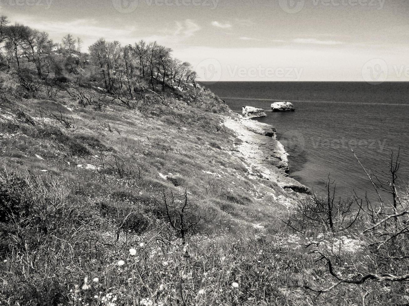 bela vista de um mar cercado por falésias sob um céu brilhante foto