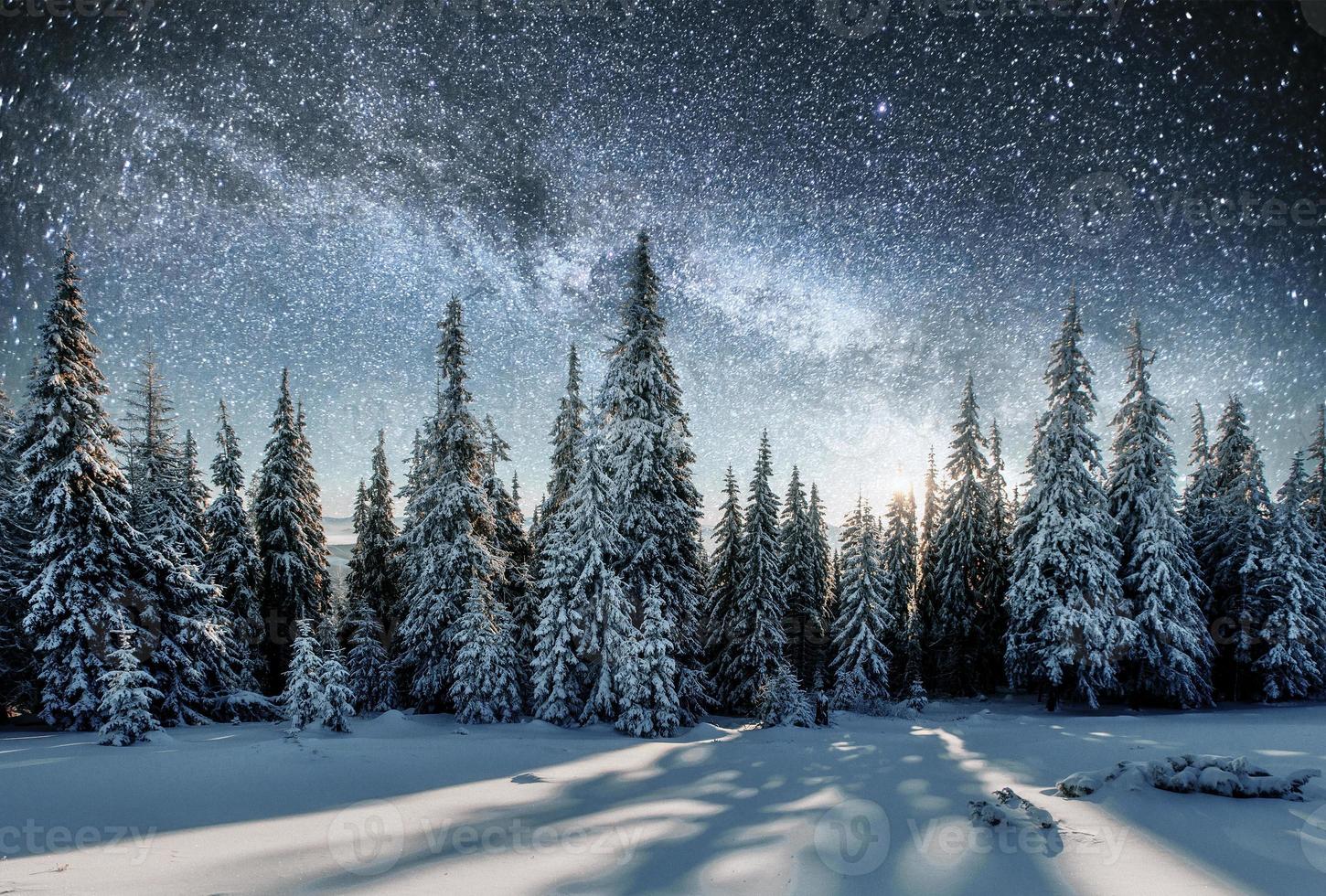 majestosa vista da floresta com abetos e cosmos com muitas estrelas foto