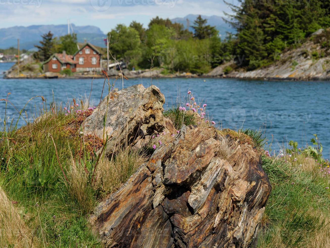 a cidade de stavanger foto