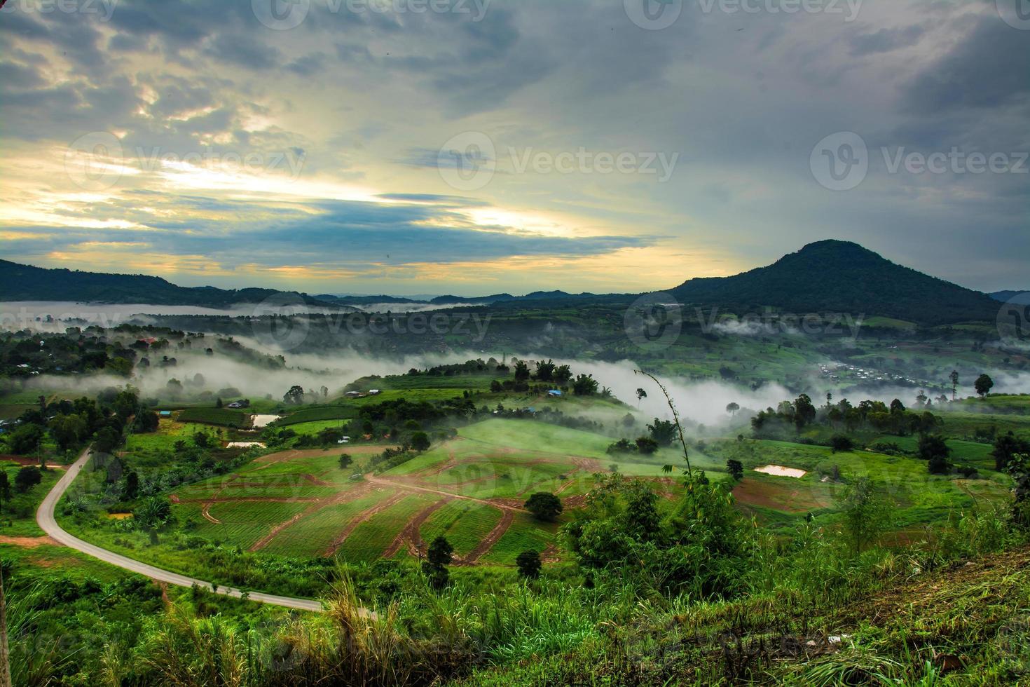 montanhas com árvores e nevoeiro na tailândia foto