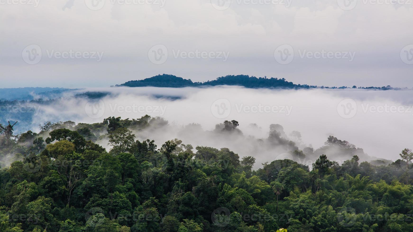 montanhas com árvores e nevoeiro na tailândia foto