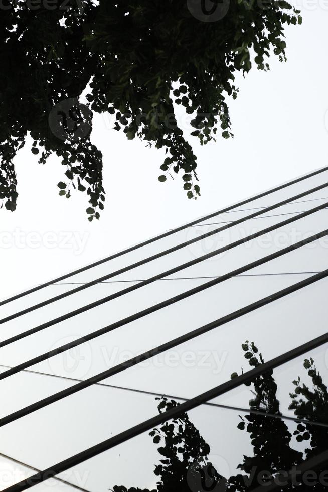 edifício moderno com galhos de árvores refletindo exteriores espelhados. foto
