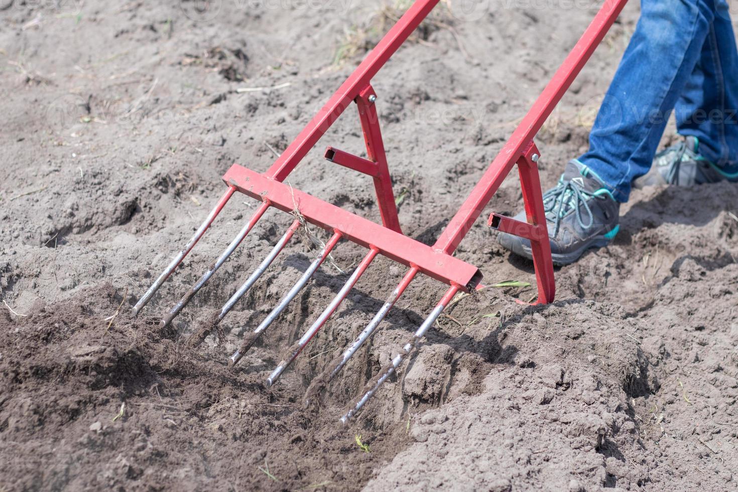 um agricultor de jeans cava o chão com uma pá vermelha em forma de garfo. uma pá milagrosa, uma ferramenta útil. cultivador manual. o cultivador é uma ferramenta manual eficiente para a lavoura. soltando a cama. foto