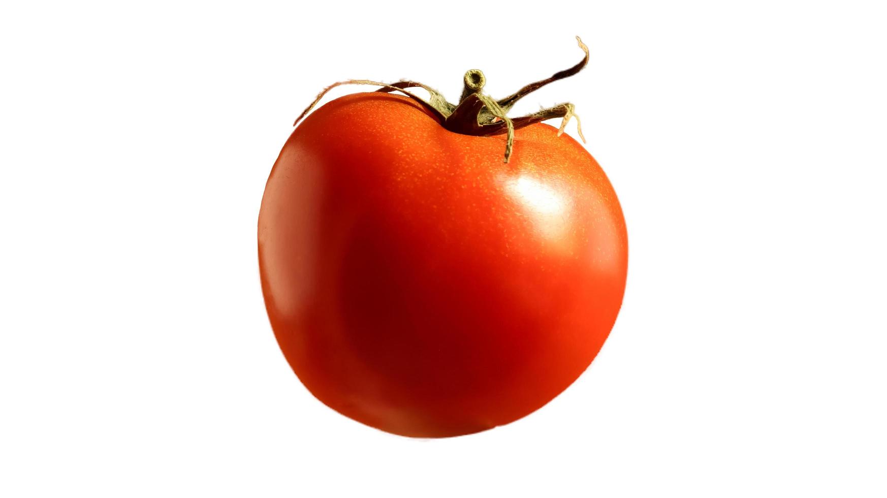 um tomate vermelho saboroso fresco. baga multicelular suculenta. uma erva anual ou perene. cultura vegetal. tomate suculento com uma haste verde em um fundo branco. foto
