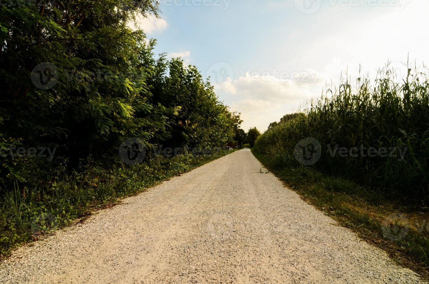 estrada de cascalho rural foto