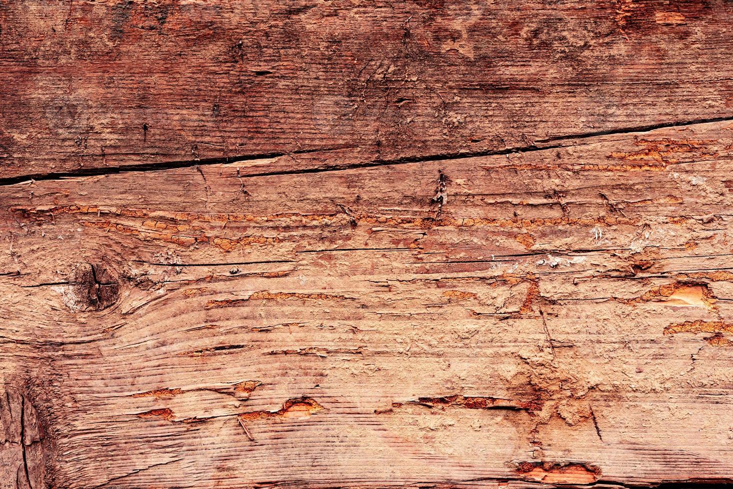 textura de madeira com arranhões e rachaduras. pode ser usado como fundo foto