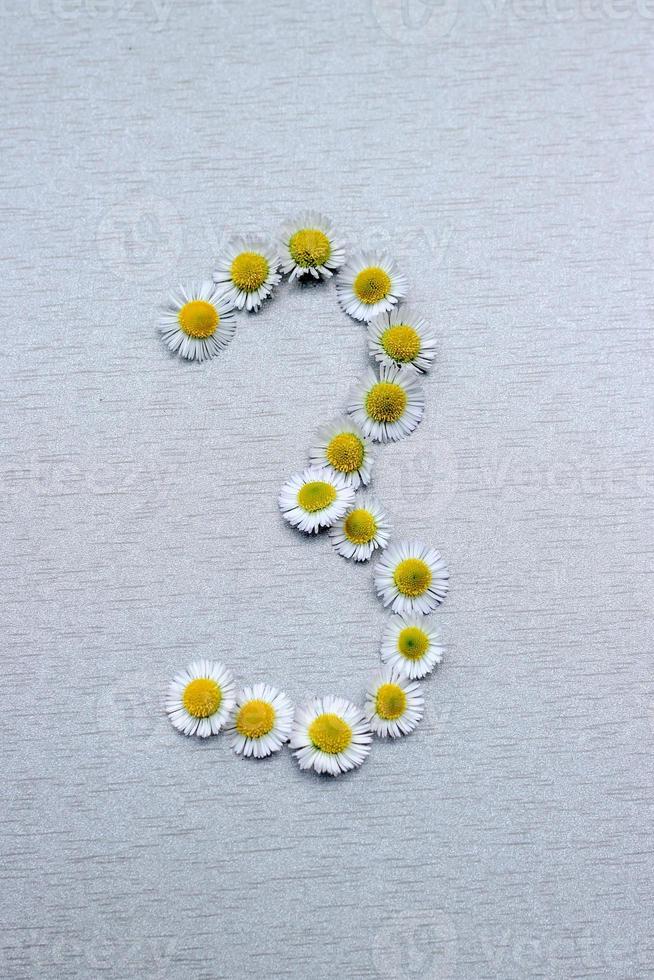 número 3 da flor da margarida em um fundo cinza foto