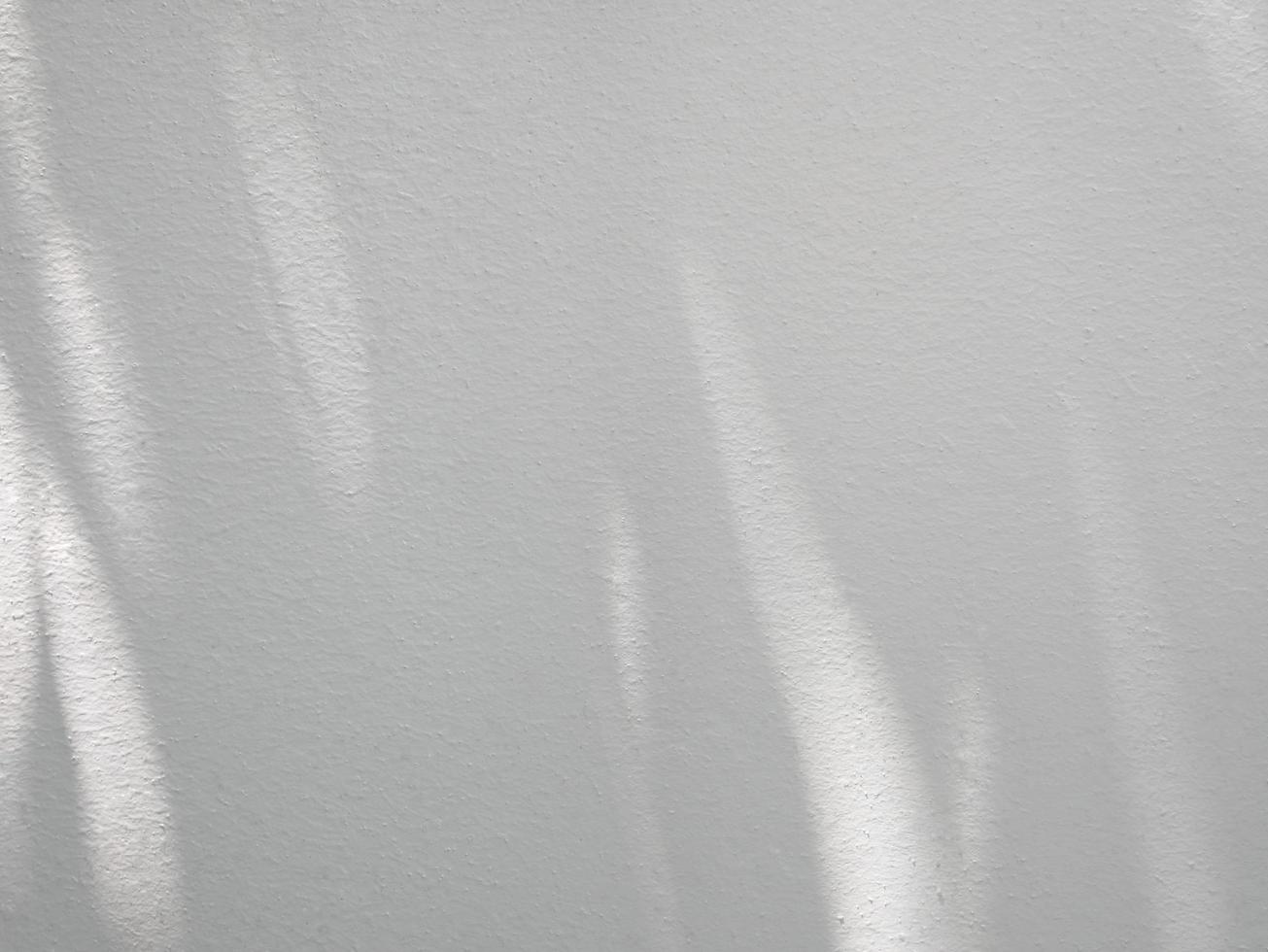 sombra abstrata de folhas no fundo da parede de concreto foto