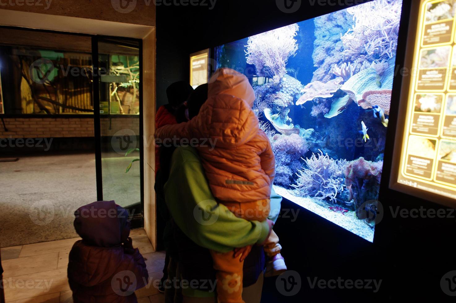 mãe com filhos descobrindo e assistindo peixes no aquário zoológico. foto