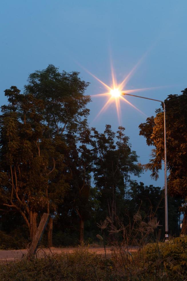 acenda muitas lâmpadas com árvores na rua ao entardecer. foto