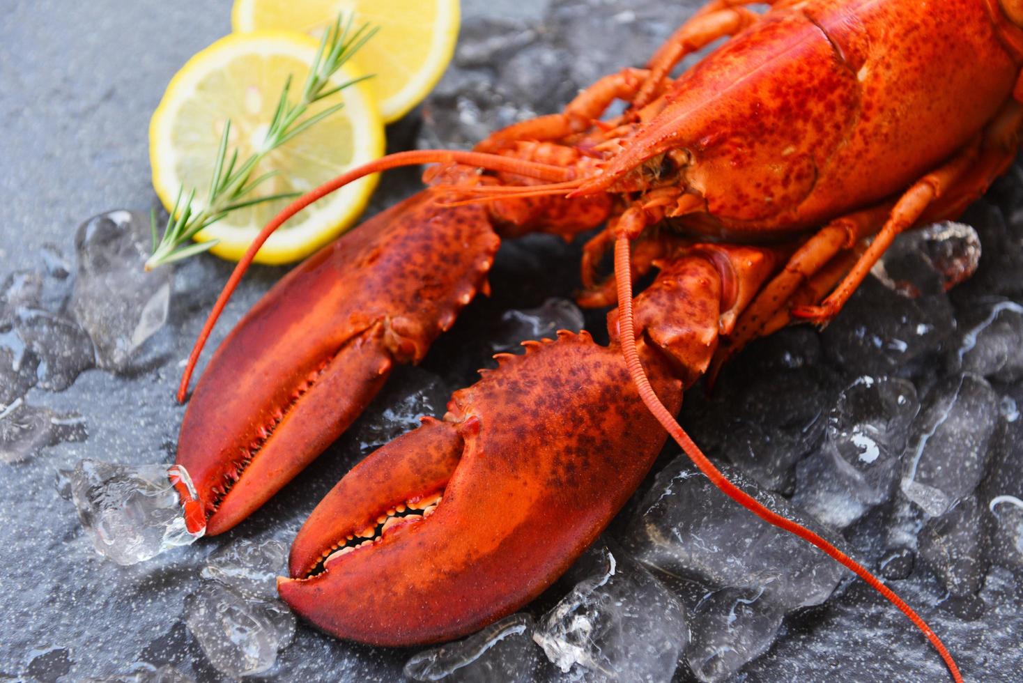 comida de lagosta fresca em um fundo de placa preta - jantar de lagosta vermelha frutos do mar com ervas especiarias limão alecrim servido mesa e gelo no restaurante comida gourmet lagosta cozida saudável cozida foto