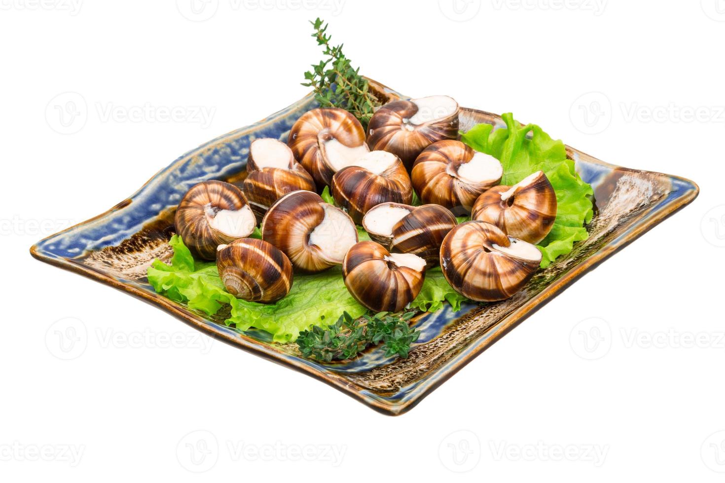 caracóis escargot em um prato com alface foto