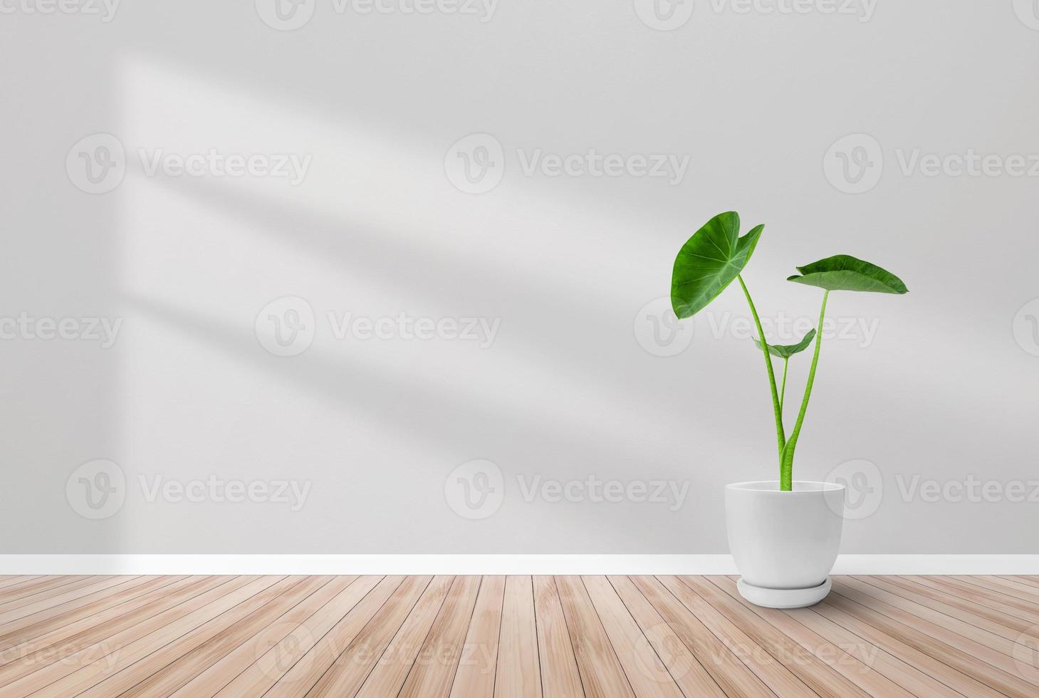 fundo de sala de decoração de luz e sombra piso de madeira e design de papel de parede de fundo de plantas tropicais foto