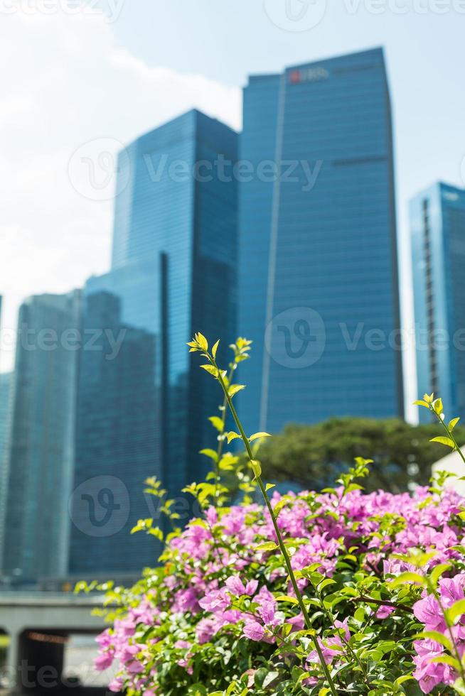 edifícios no horizonte de singapura foto