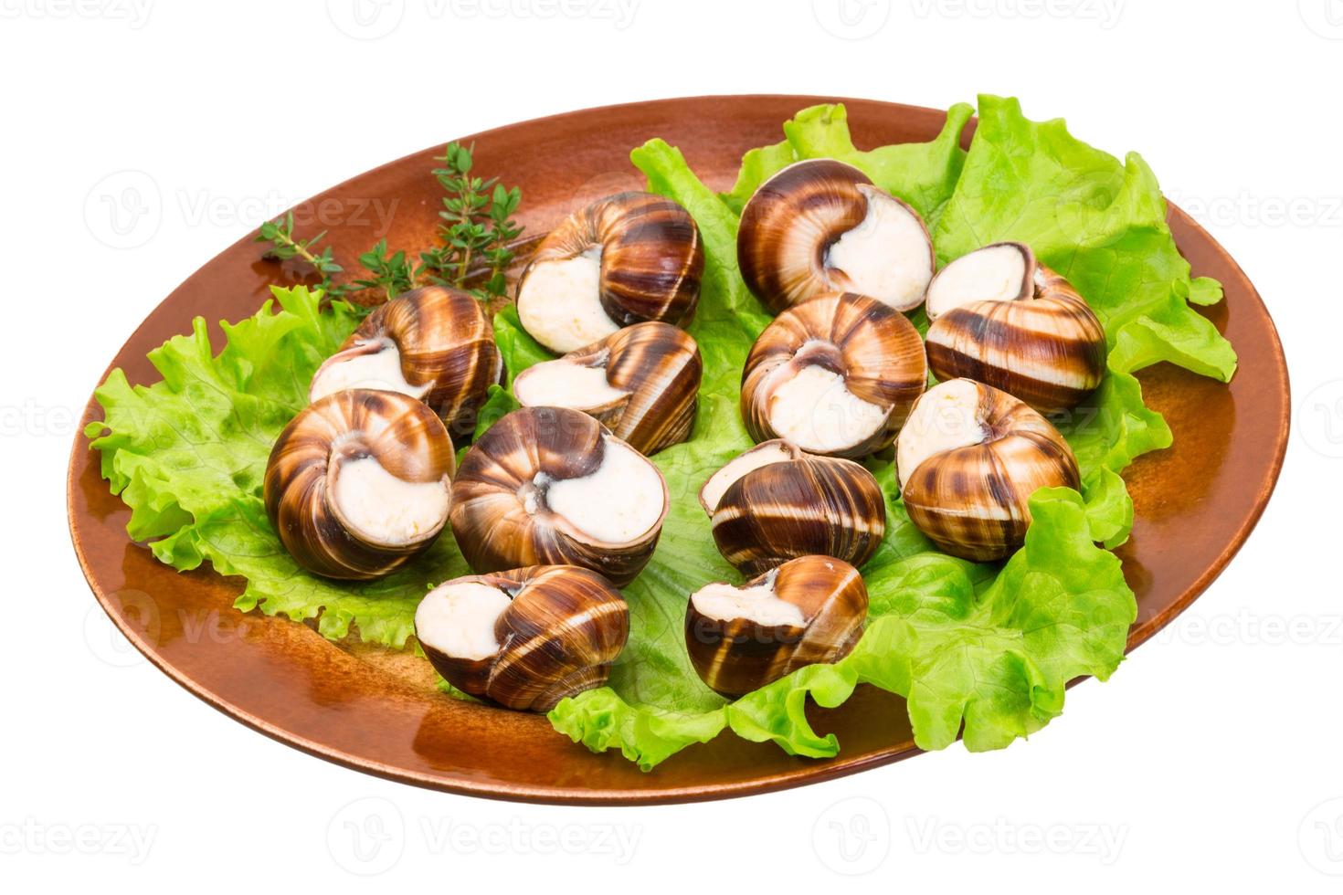 caracóis escargot em um prato foto