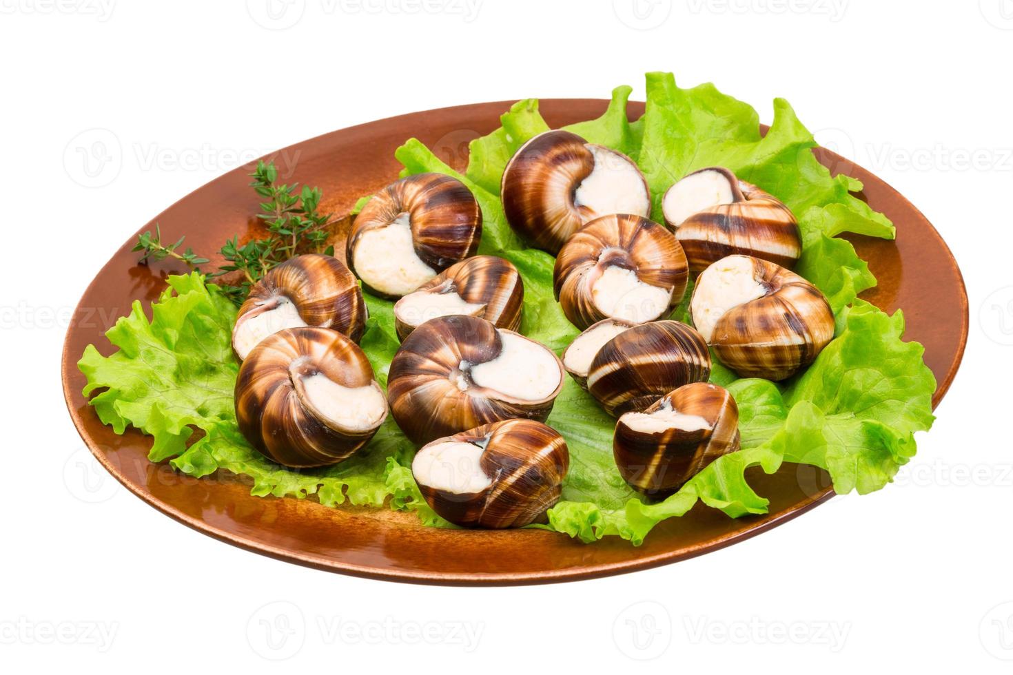 caracóis escargot em um prato foto