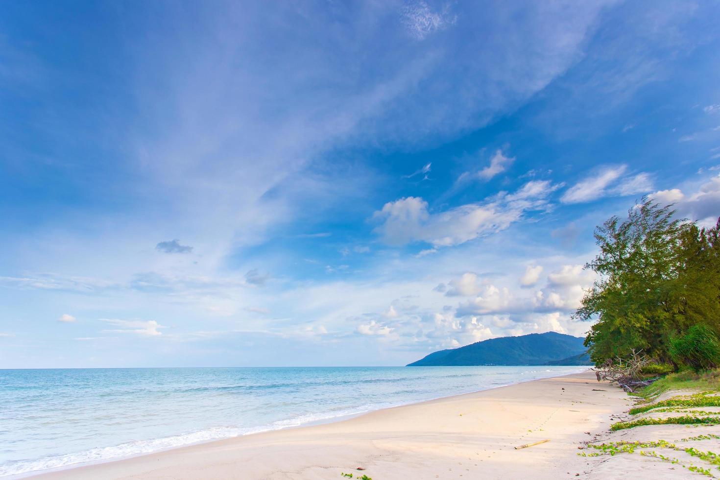 bela praia com areia branca, água turquesa do oceano e céu azul com nuvens em dia ensolarado enquanto havia pinheiros e glória da manhã no chão... fundo natural para férias de verão foto