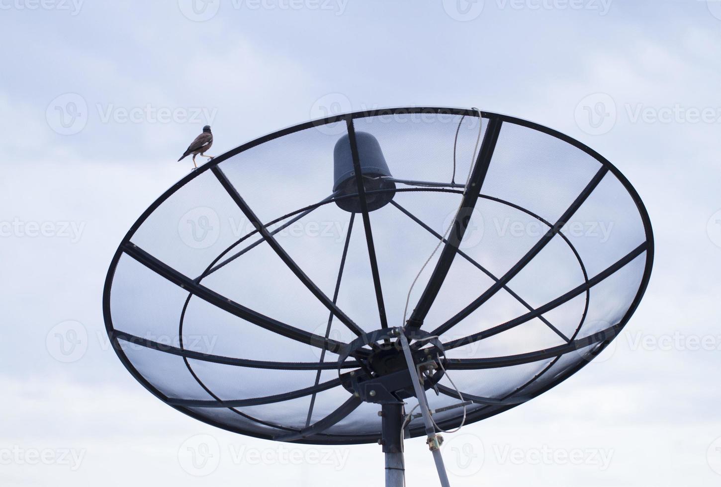 dados de transmissão de antena parabólica com fundo de céu azul foto