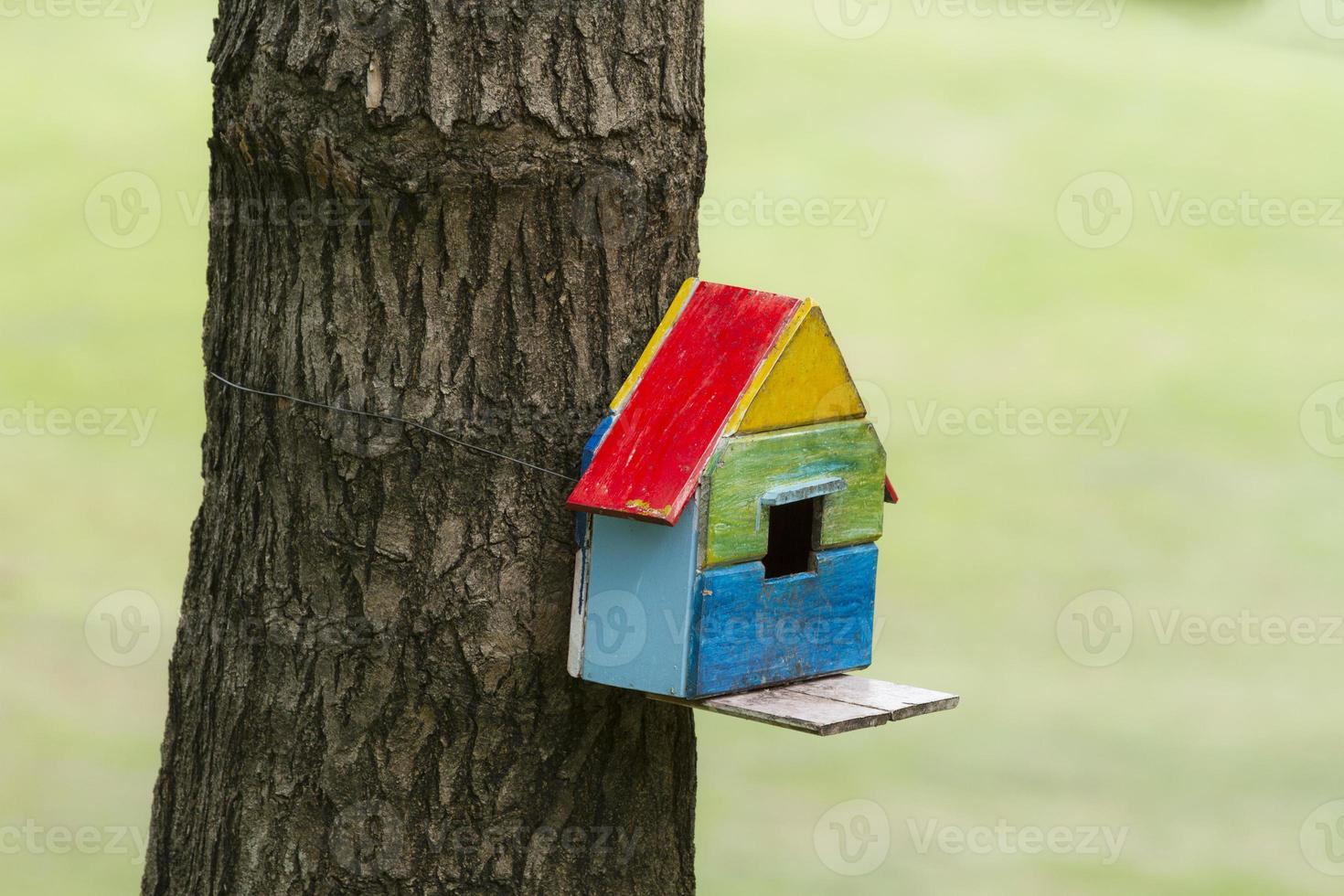 casa de pássaros caixa de nidificação pendurada no tronco da árvore foto