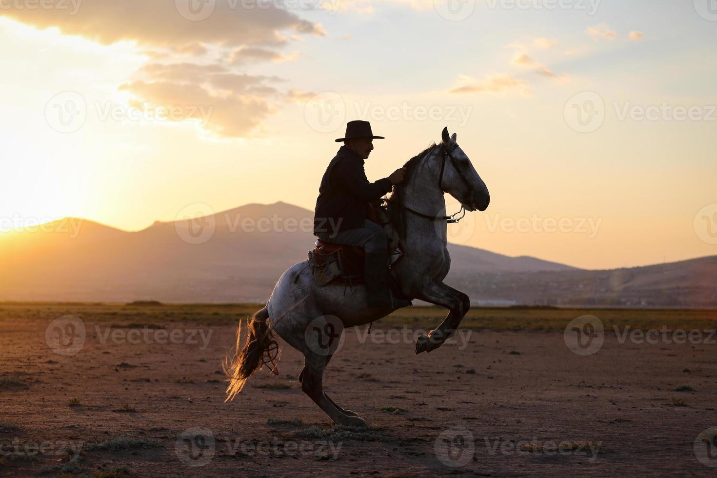 criação de cavalos no campo kayseri, turquia foto