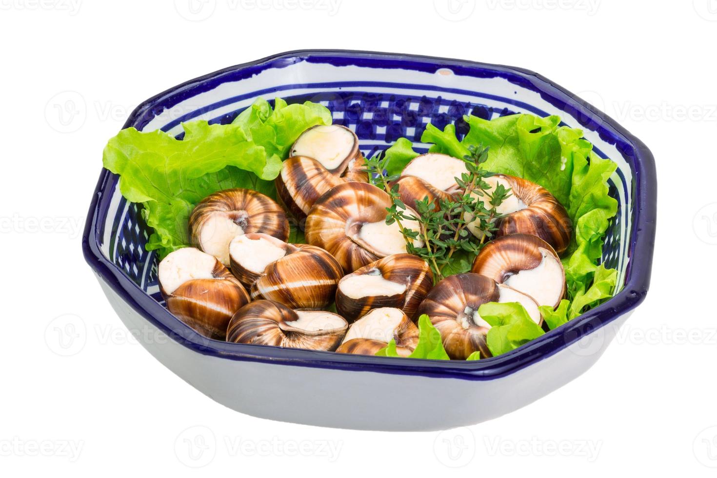 caracóis escargot em um prato foto
