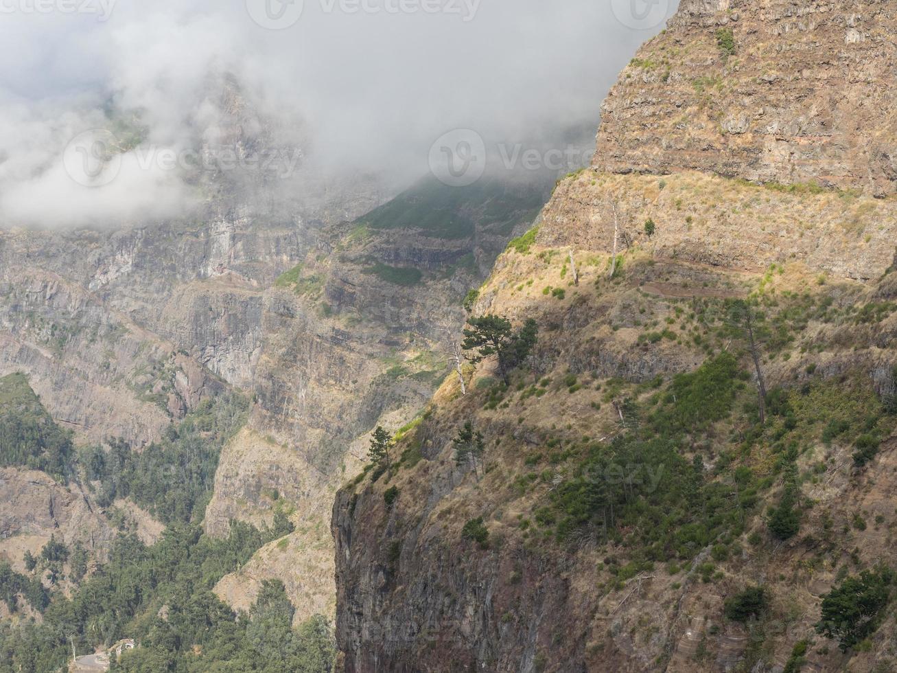 ilha da madeira em portugal foto