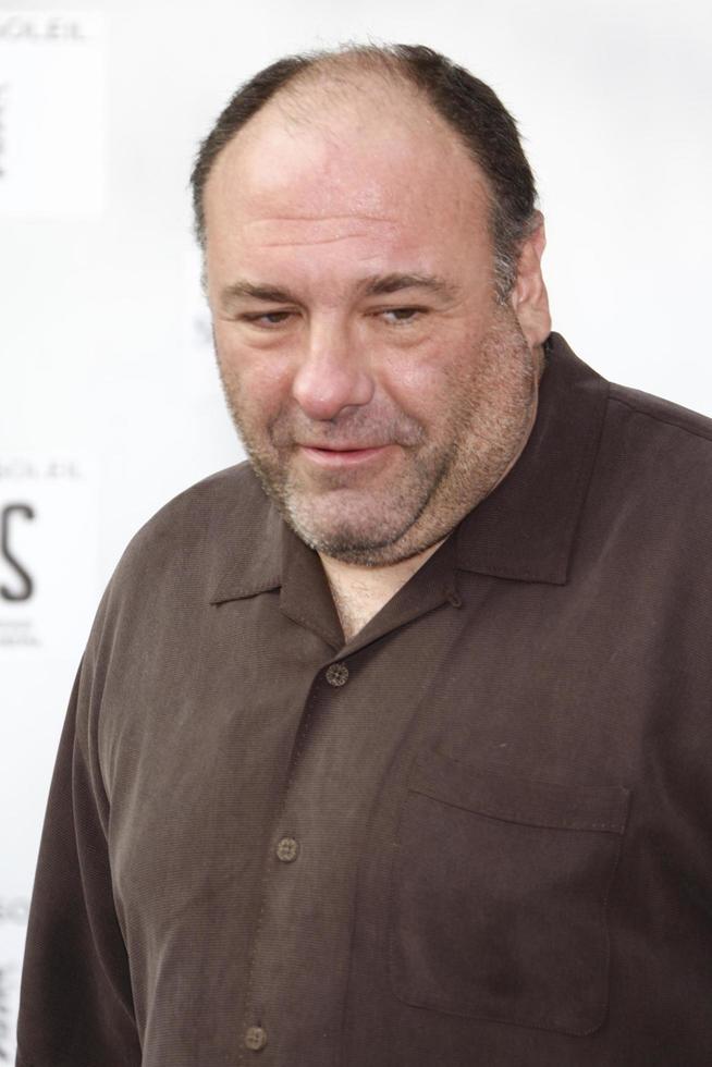 los angeles, 25 de setembro - james gandolfini chegando ao iris, uma viagem pelo mundo do cinema pelo cirque du soleil estreia no teatro kodak em 25 de setembro de 2011 em los angeles, ca foto