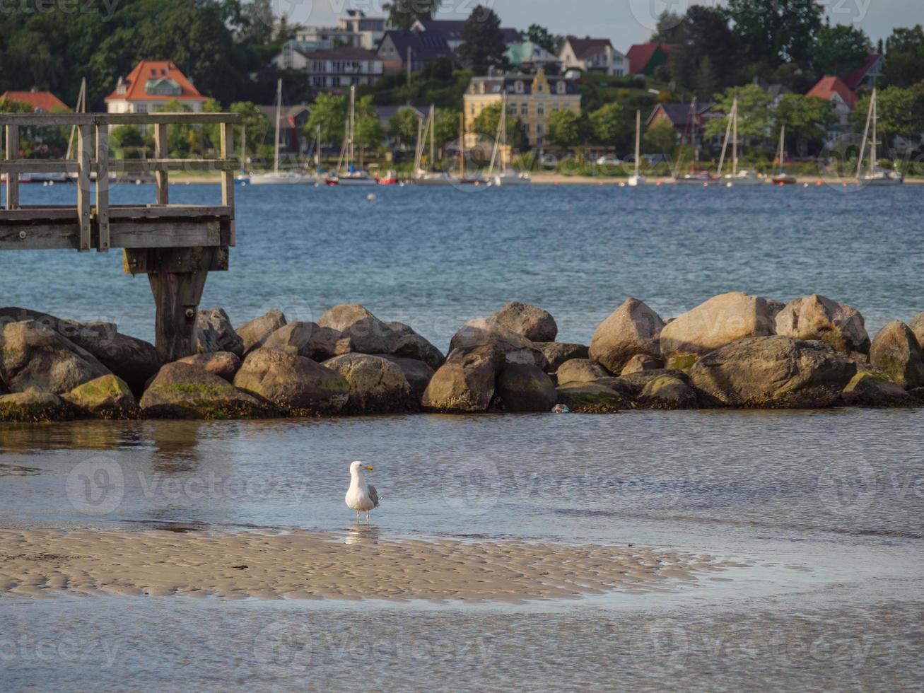 a cidade de eckernfoerde no mar báltico foto