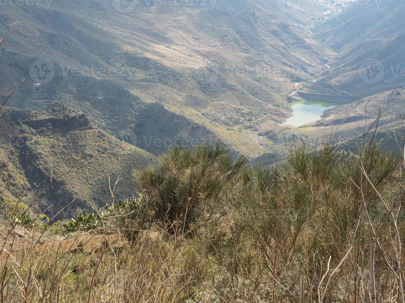 ilha de tenerife na espanha foto