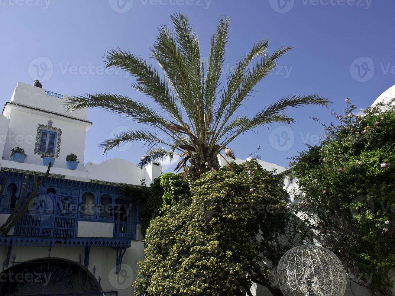 a cidade de tunis na tunísia foto