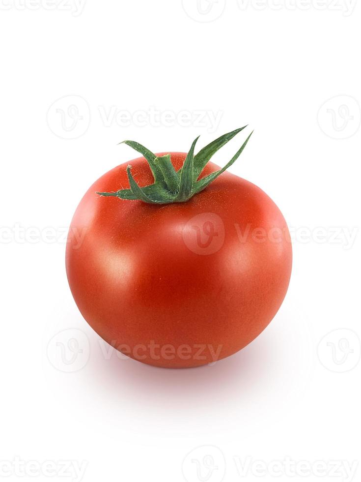 tomate isolado em um fundo branco foto