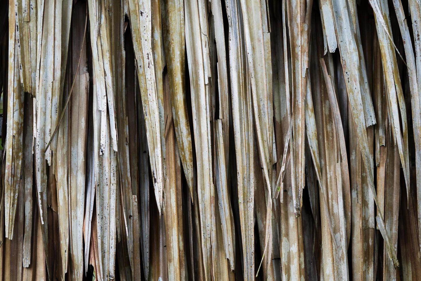 fundo de pilha de grama seca para tema de agricultura. textura de feno velha para o conceito de zona rural. foto