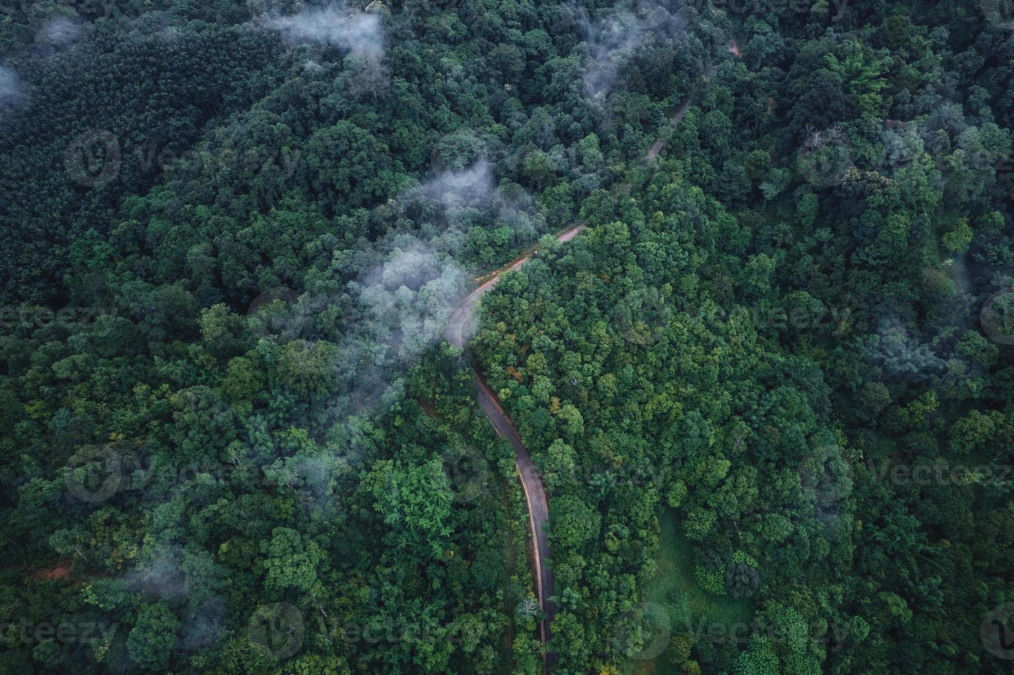 cenário de montanha de manhã, alto ângulo, verão foto